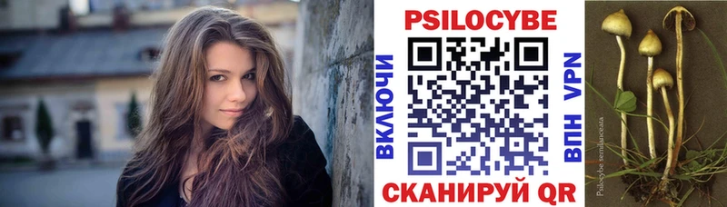 Псилоцибиновые грибы Cubensis  Купить где  Светлоград 