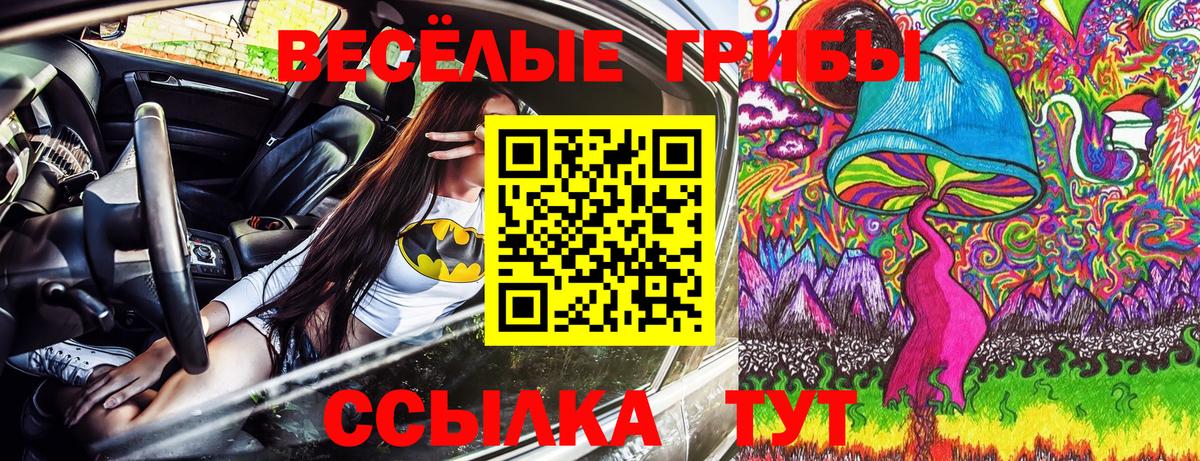Галлюциногенные грибы ЛСД  где найти   Вход с VPN  Светлоград  Псилоцибиновые грибы мухоморы 