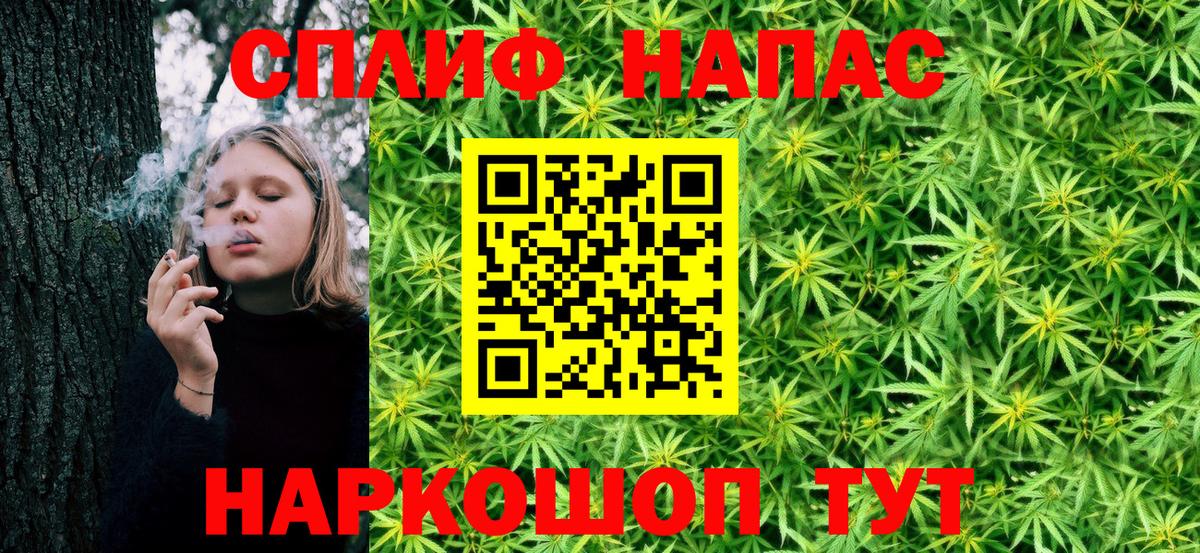 Марихуана конопля  Светлоград  Каннабис ГИДРОПОН  Шишки марихуана Amnesia 