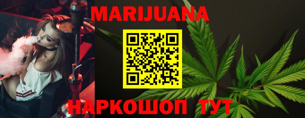 Бошки Шишки планчик Светлоград